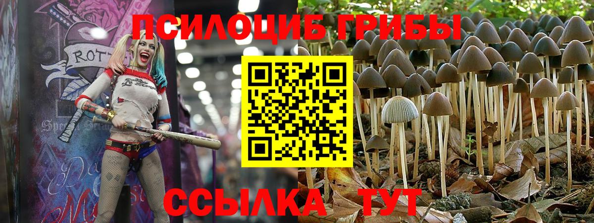 Галлюциногенные грибы мухоморы Бузулук
