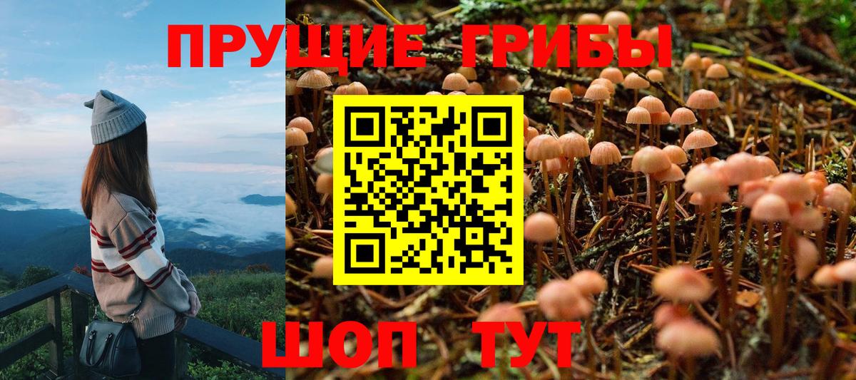 Бузулук  Псилоцибиновые грибы ЛСД  Вход с VPN 